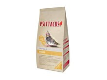 Papilla