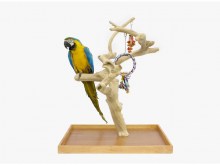 Parque de Juego Java Mini Tree Large + BOWL -S 